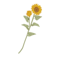 Flourishingmart